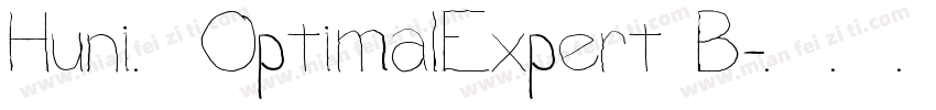 Huni_OptimalExpert B字体转换